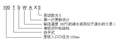 TSWA臥式多級(jí)泵型號(hào)說明