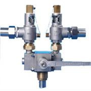 組合安全系統(tǒng)閥