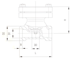 DH61F低溫止回閥結(jié)構(gòu)圖