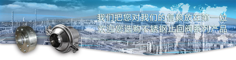 不銹鋼止回閥