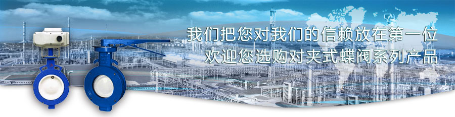 對夾式蝶閥