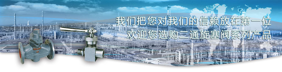 二通旋塞閥
