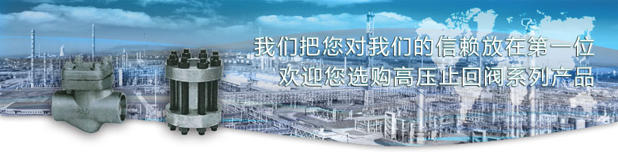 高壓止回閥