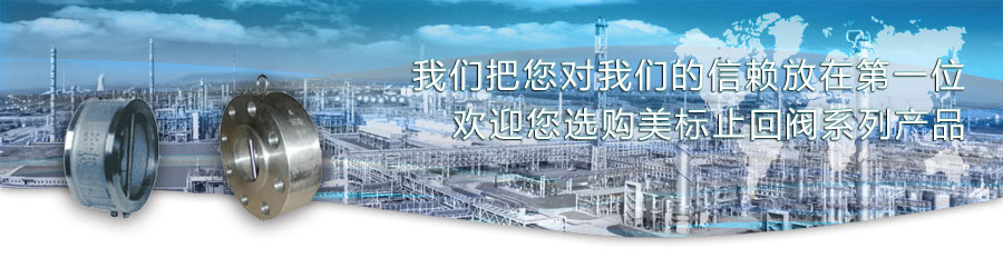 美標(biāo)止回閥