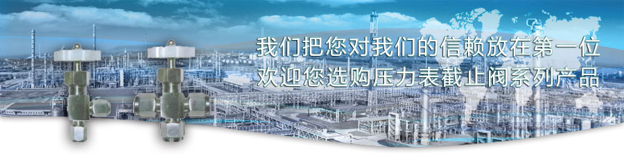 壓力表截止閥