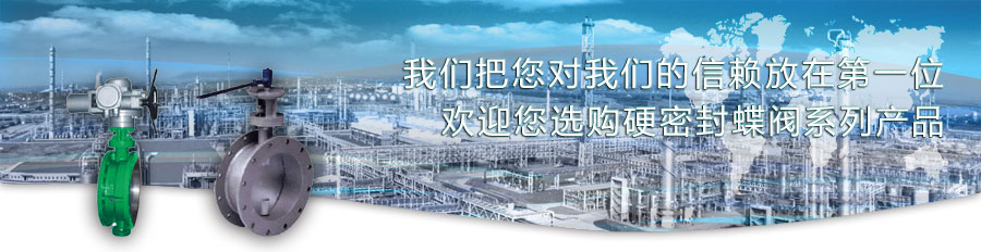 硬密封蝶閥