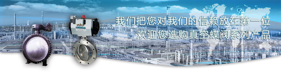 真空蝶閥