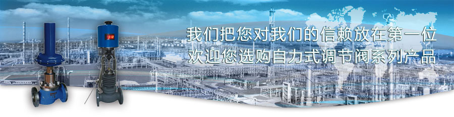 自力式調(diào)節(jié)閥