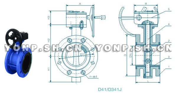 D41/D341J全襯膠法蘭蝶閥外形尺寸圖