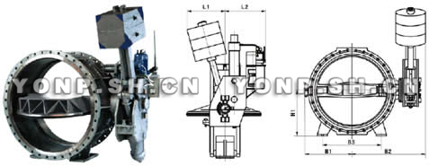 HD7B41X重錘式液控法蘭蝶閥外形尺寸圖