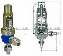 A61H/Y-160/320P彈簧微啟式空壓機(jī)安全閥