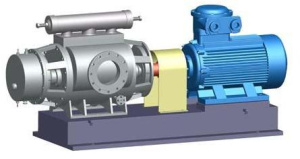 2H型雙螺桿泵