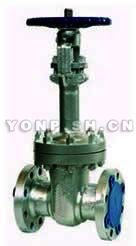 DZ41Y低溫法蘭明桿閘閥