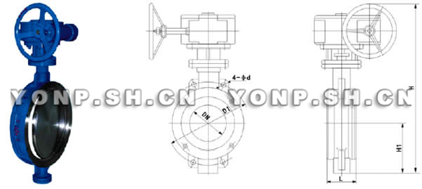 D373H渦輪對夾硬密封偏心蝶閥外形尺寸圖