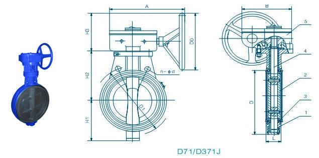 D71/D371J全襯膠軟密封蝶閥外形尺寸圖
