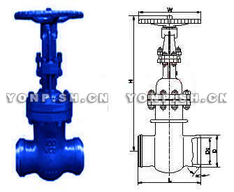 DKZ61H真空手動(dòng)閘閥
