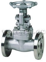 法蘭螺栓閥蓋鍛鋼手動(dòng)閘閥