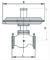 自力式差壓調(diào)節(jié)閥結(jié)構(gòu)圖1