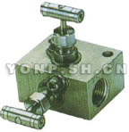 內螺紋儀針型表二閥組