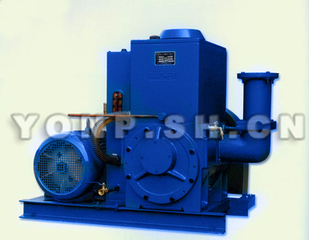 X-100B型旋片式機(jī)械真空泵