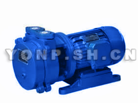 SK系列直聯(lián)水環(huán)式真空泵圖